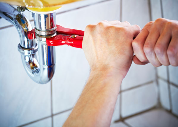 About Grovespring Plumbers